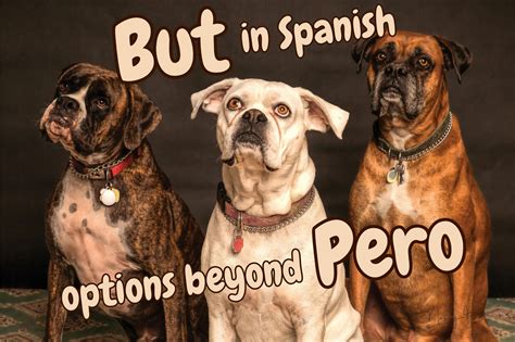 buta spanish|Buta In Spanish .